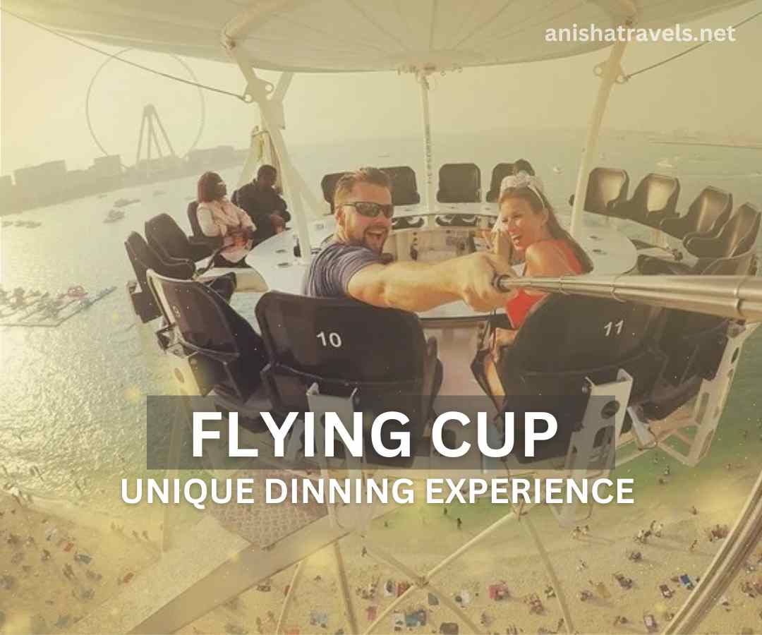 flying cup dubai a unique dinning experience