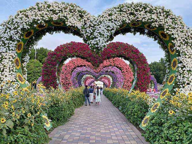 miracle-garden-03333