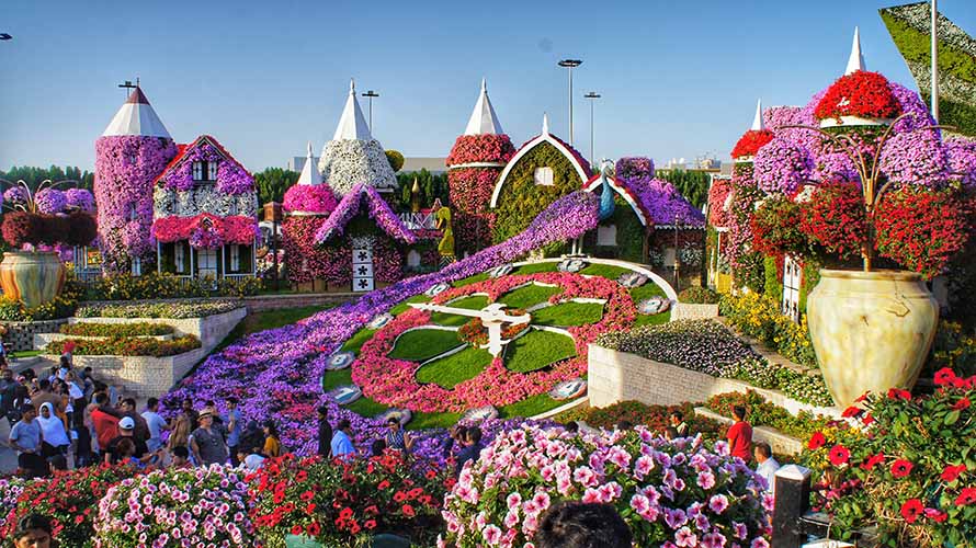 miracle-garden-dubai-033