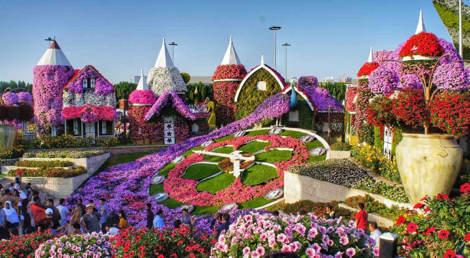 miracle-garden-dubai-tour