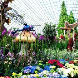 flower-dome-singapore