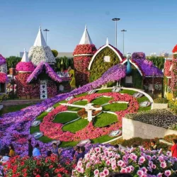 miracle-garden-dubai-tour-10-1-1536x845