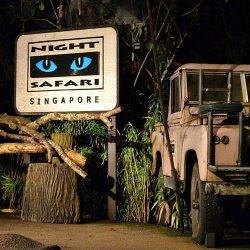 night-safari-singapore